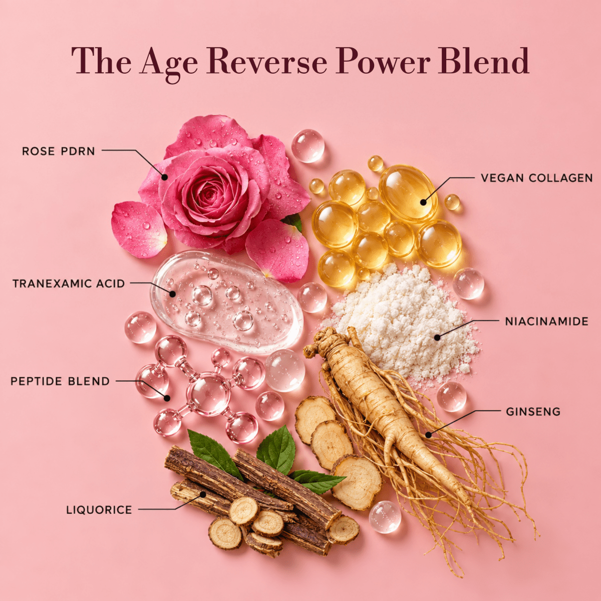 Time Capsule Age Reverse Cream - Komyo